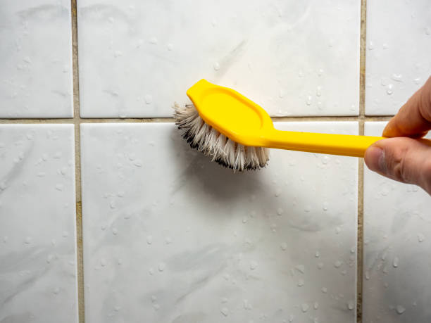 Best Mold Remediation for Schools in Middletown, KY