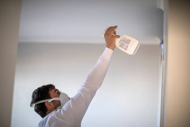 Best Mold Testing and Inspection Services in Middletown, KY